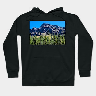 Trail at Elbow Lake. Hoodie